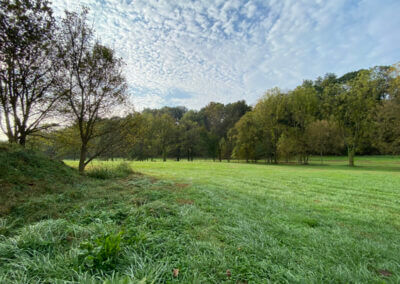 Golf Disc Field View