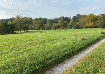 Golf Disc Field View