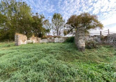 Stone Foundation and Field