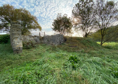 Stone Foundation and Field